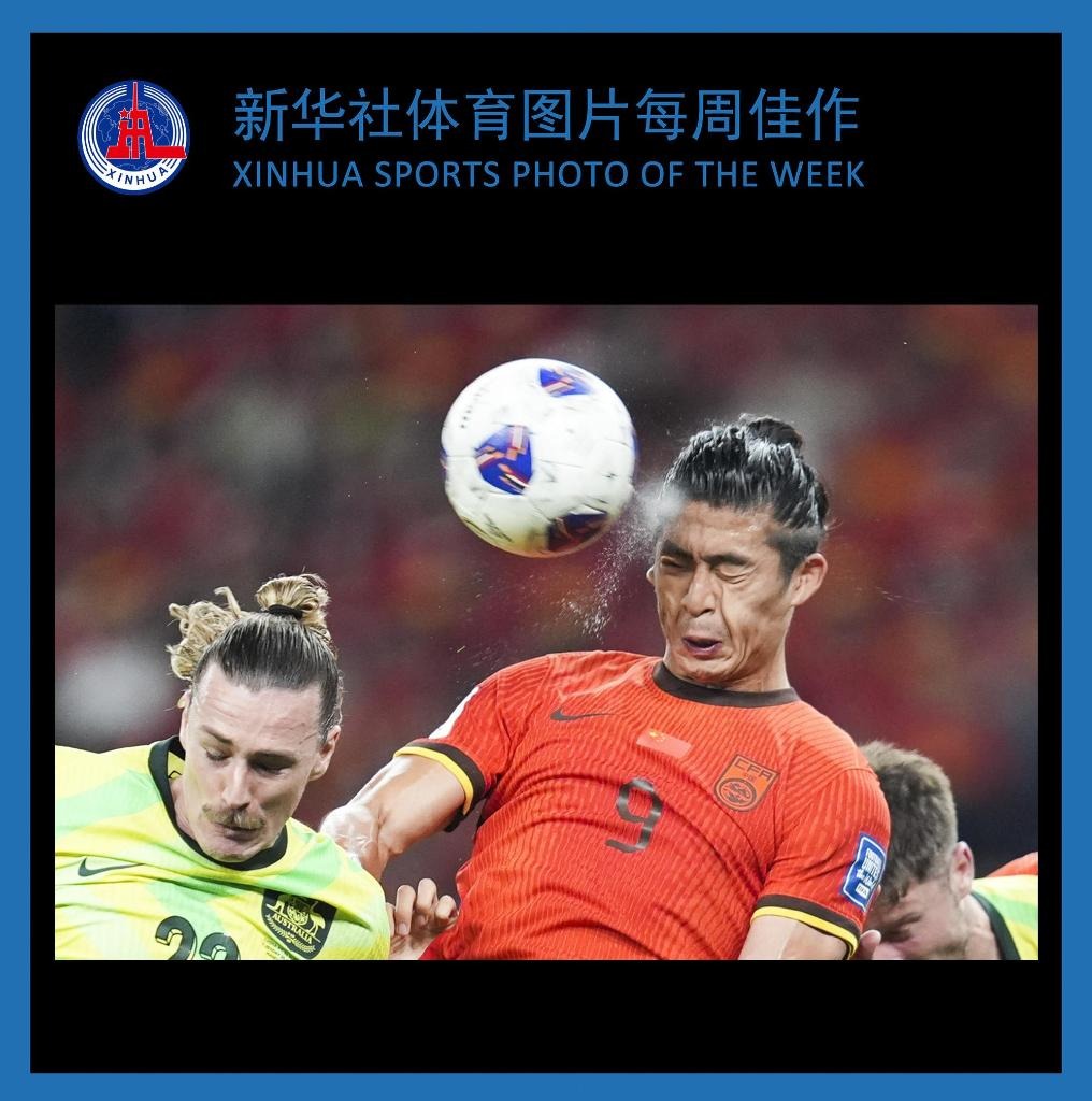 FIFA电竞世界杯博彩合作争议